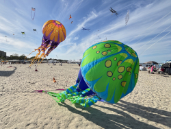 Cervia2026-790