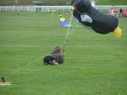 Chester2004-007