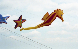 Cleethorpes2002-009