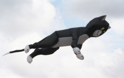Cleethorpes2003-004