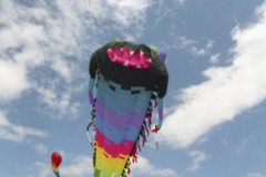 Kite Festivals 2003