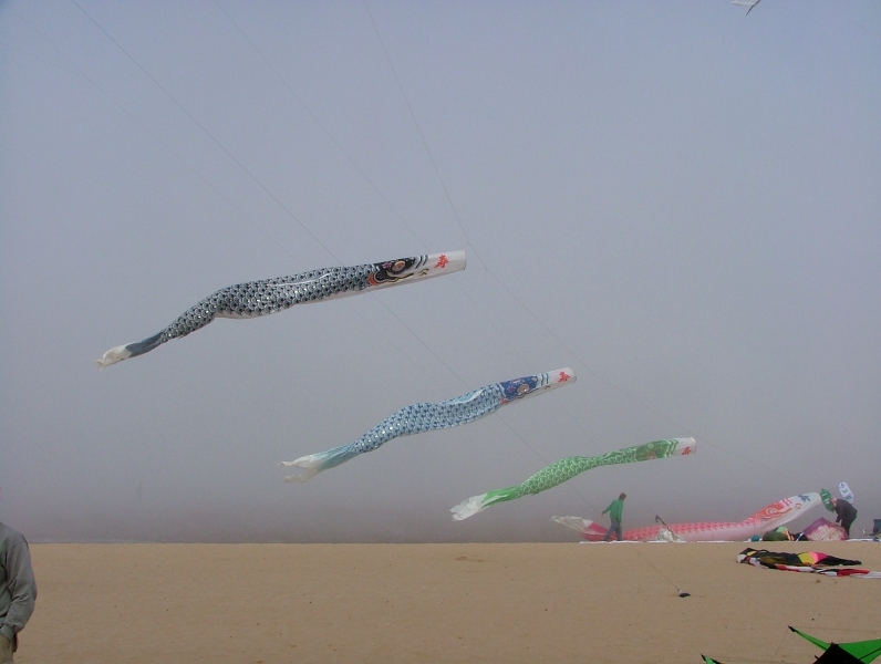 Cleethorpes2007-062