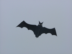 Cleethorpes2007-001