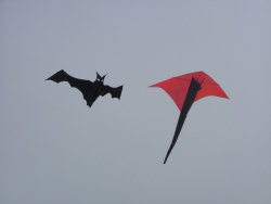 Cleethorpes2007-009