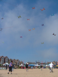 Cleethorpes2007-027