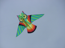 Cleethorpes2007-037