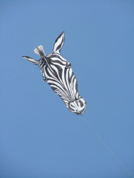 Cleethorpes2007-042