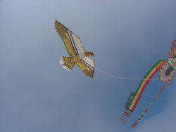 Cleethorpes2007-051