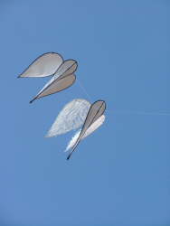 Cleethorpes2007-071