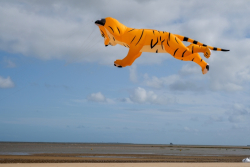 Cleethorpes2019-010