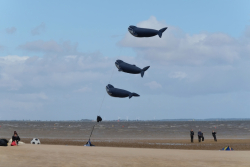 Cleethorpes2019-012