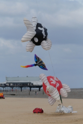 Cleethorpes2019-014