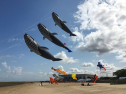 Cleethorpes2019-027