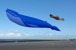 Cleethorpes2019-030