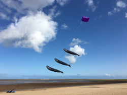 Cleethorpes2019-040