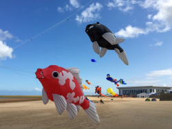 Cleethorpes2019-041