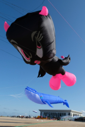 Cleethorpes2019-043