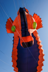 Cleethorpes2019-046
