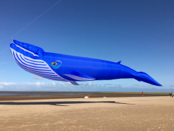 Cleethorpes2019-048
