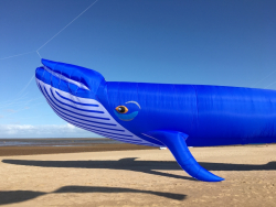 Cleethorpes2019-049