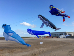 Cleethorpes2019-056