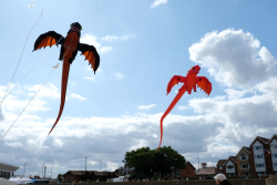 Cleethorpes2019-061