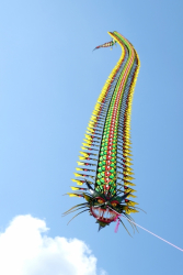 Cleethorpes2019-075