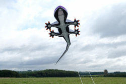 CountryfileLive2019-004