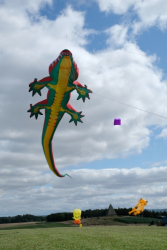 CountryfileLive2019-011