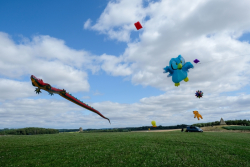 CountryfileLive2019-012