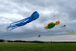 CountryfileLive2019-030