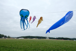 CountryfileLive2019-032