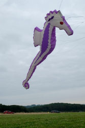 CountryfileLive2019-035