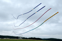 CountryfileLive2019-038