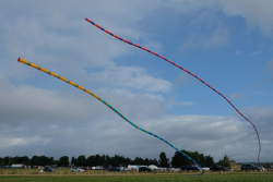 CountryfileLive2019-043
