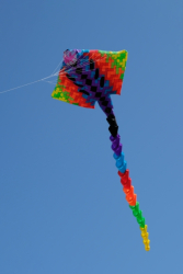 CountryfileLive2019-050