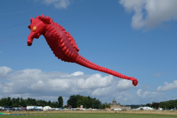 CountryfileLive2019-052