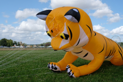 CountryfileLive2019-058