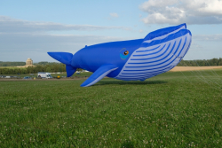 CountryfileLive2019-062