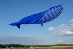 CountryfileLive2019-063