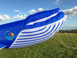 CountryfileLive2019-065
