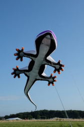 CountryfileLive2019-068