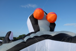 CountryfileLive2019-069