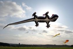 CountryfileLive2019-070