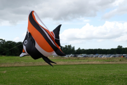 CountryfileLive2019-089