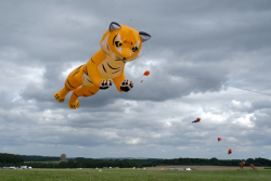 CountryfileLive2019-092