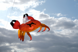 CountryfileLive2019-095