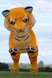 CountryfileLive2019-098