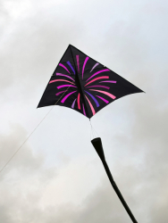 CumbriaNovember2025-001