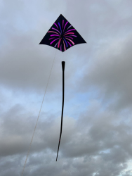 CumbriaNovember2025-003